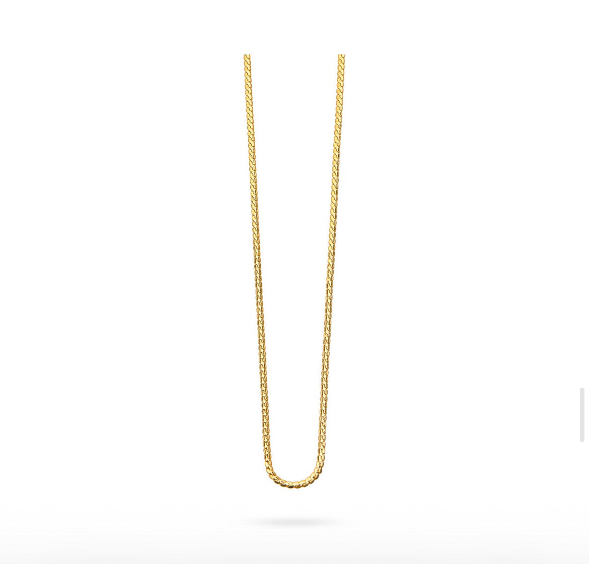 Snake chain Necklace